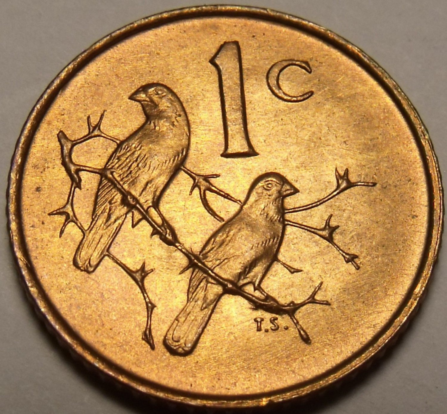 South Africa 1966 Cent Gem Unc SPARROWS SUID AFRICA Free Shipping.