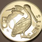 Rare Proof British Virgin Islands 1978 50 Cents~7,059 Minted~Brown Pelican~Fr/Sh