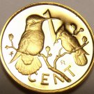 Rare Cameo Proof British Virgin Islands 1980 Cent~Hummingbird~3,421 Minted~Fr/Sh