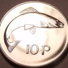 Rare Proof Ireland 1971 10 Pence~1st Year~Salmon~50,000 Minted~Free Shipping