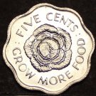 Seychelles 5 Cents FAO, 1972 Gem Unc~Cabbage Head~Fantastic~1st Year Ever~Fr/Shi