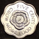 Seychelles 5 Cents FAO, 1975 Gem Unc~Cabbage Head~Fantastic~Last Year Ever~Fr/Sh