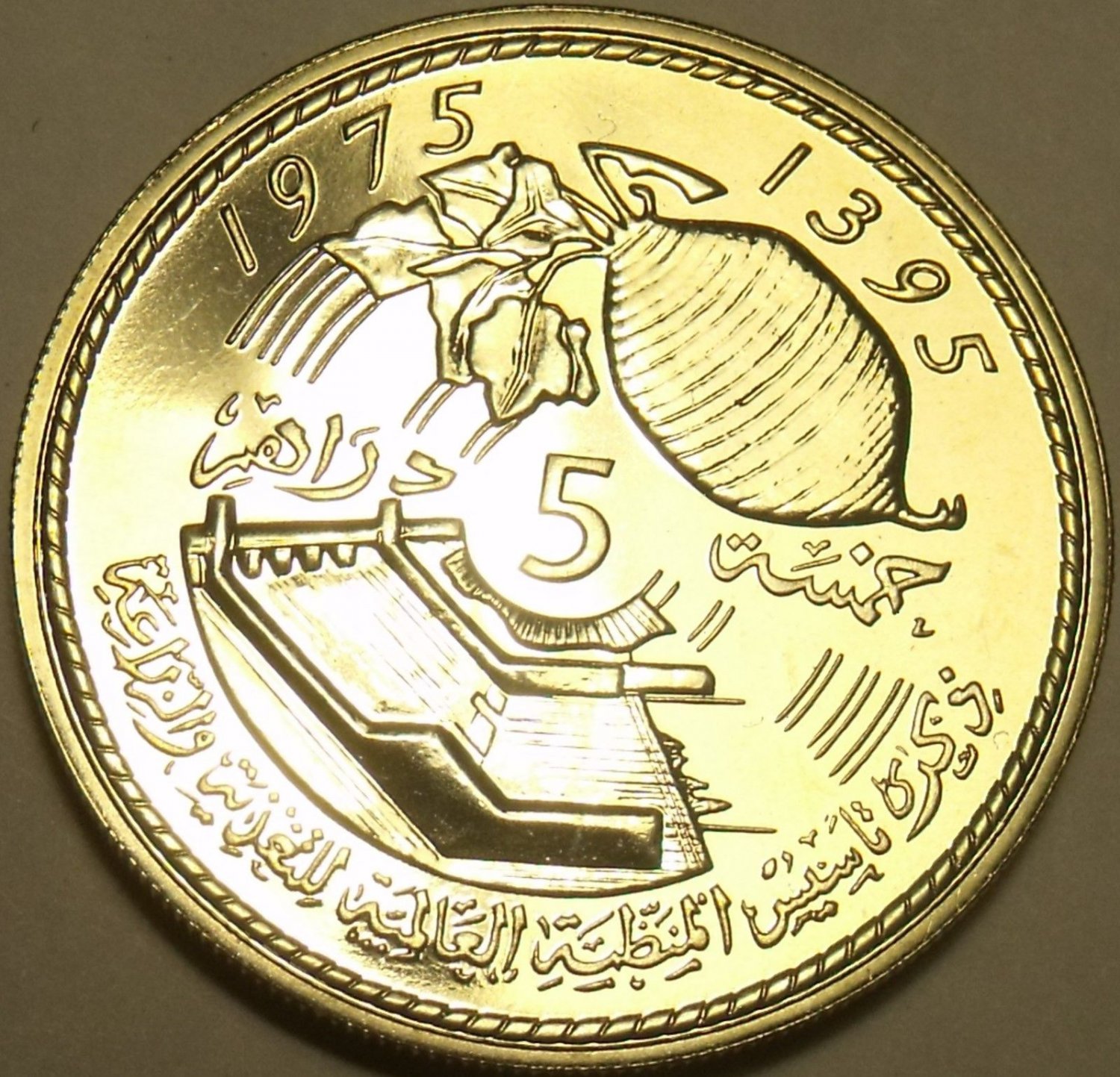 PNG dirham Maroc.