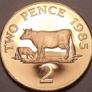 Guernsey 1985 2 Pence Extremely Rare Proof~2,500 Minted~Guernsey Cows~Free Ship