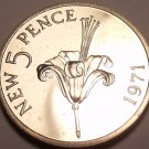 Guernsey 5 New Pence, 1971 Rare Proof~10,000 Minted~Guernsey Lily~Free Shipping