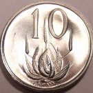 South Africa 10 Cents Proof~Aloe Plant~Only 10,000 Minted~Free Shipping