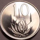 South Africa 10 Cents, 1966 Proof~Aloe Plant~Only 25,000 Minted~Free Shipping