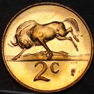South Africa 2 Cents, 1966 Proof~Rare~Only 25,000 Minted~Wildebeest Free Ship