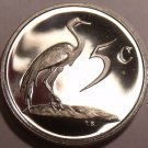 South Africa 5 Cents, 1970 Proof~Blue Crane~Only 10,000 Minted~Free Shipping