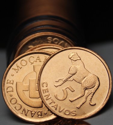 Gem Unc Roll (50) Mozambique 5 Centavos, 2006~Cheetah~BIG CAT~Only Year Ever~F/S