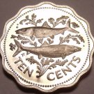 Bahamas 10 Cents, 1977 Rare Proof~Bone Fish~11,000 Minted~Scalloped~Free Ship