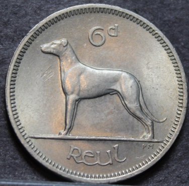 Ireland 6 Pence, 1966 Gem Unc~Irish Wolfhound~Free Shipping