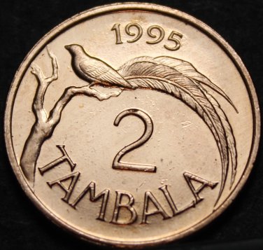 Malawi 2 Tambala, 1995 Uncirculated~Paradise Whydah Bird~Only Year Ever~Free Shi