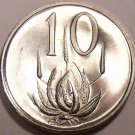 South Africa 1966 10 Cents RARE Proof~25,000 Minted~Aloe Plant~African Legend~FS