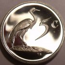 South Africa 5 Cents, 1987 Rare Proof~Only 5,297 Ever Minted~Blue Crane~Free Sh