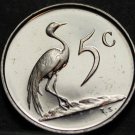 South Africa 5 Cents, 1983 Rare Proof~14,000 Minted~Blue Crane~Free Shipping