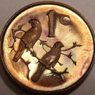 South Africa Cent, 1987 Proof~Rare~6,781 Minted~Sparrows~Free Shipping