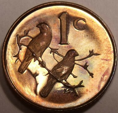 South Africa Cent, 1987 Proof~Rare~6,781 Minted~Sparrows~Free Shipping
