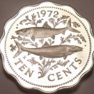 Bahamas 10 Cents, 1972 Rare Proof~Bone Fish~35,000 Minted~Scalloped~Free Ship