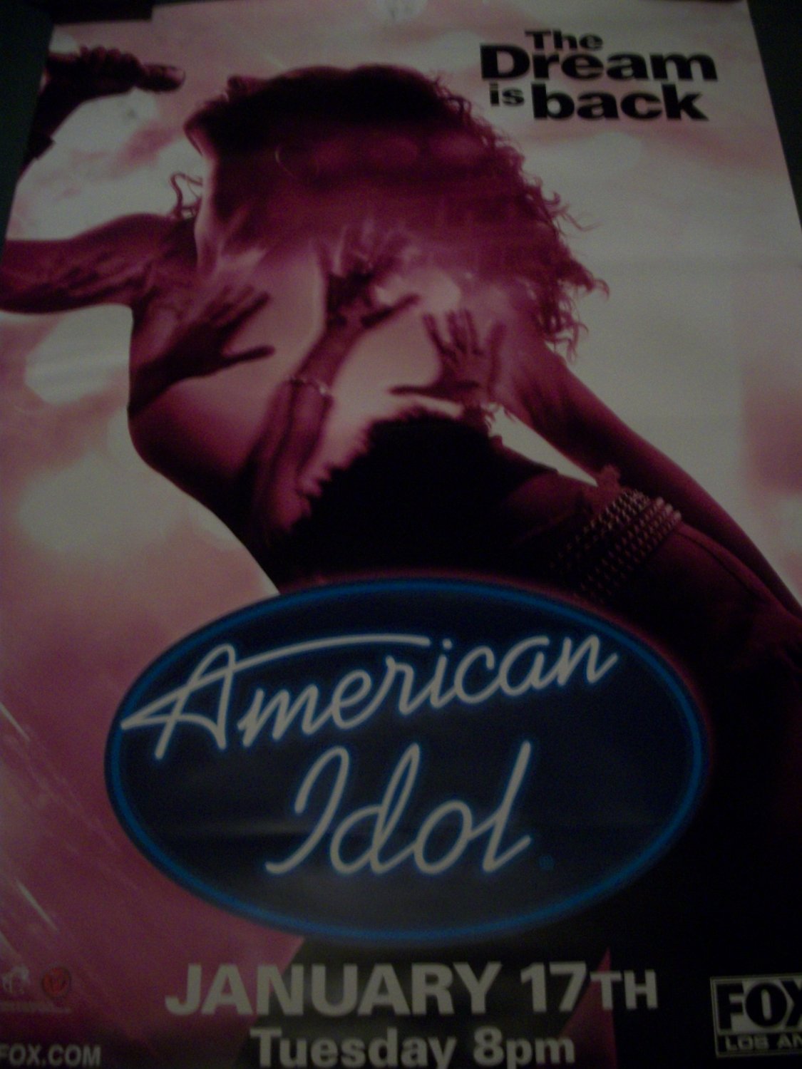 American Idol TV show Pink Female Poster Approx. 4 feet by 5 feet 9 inches