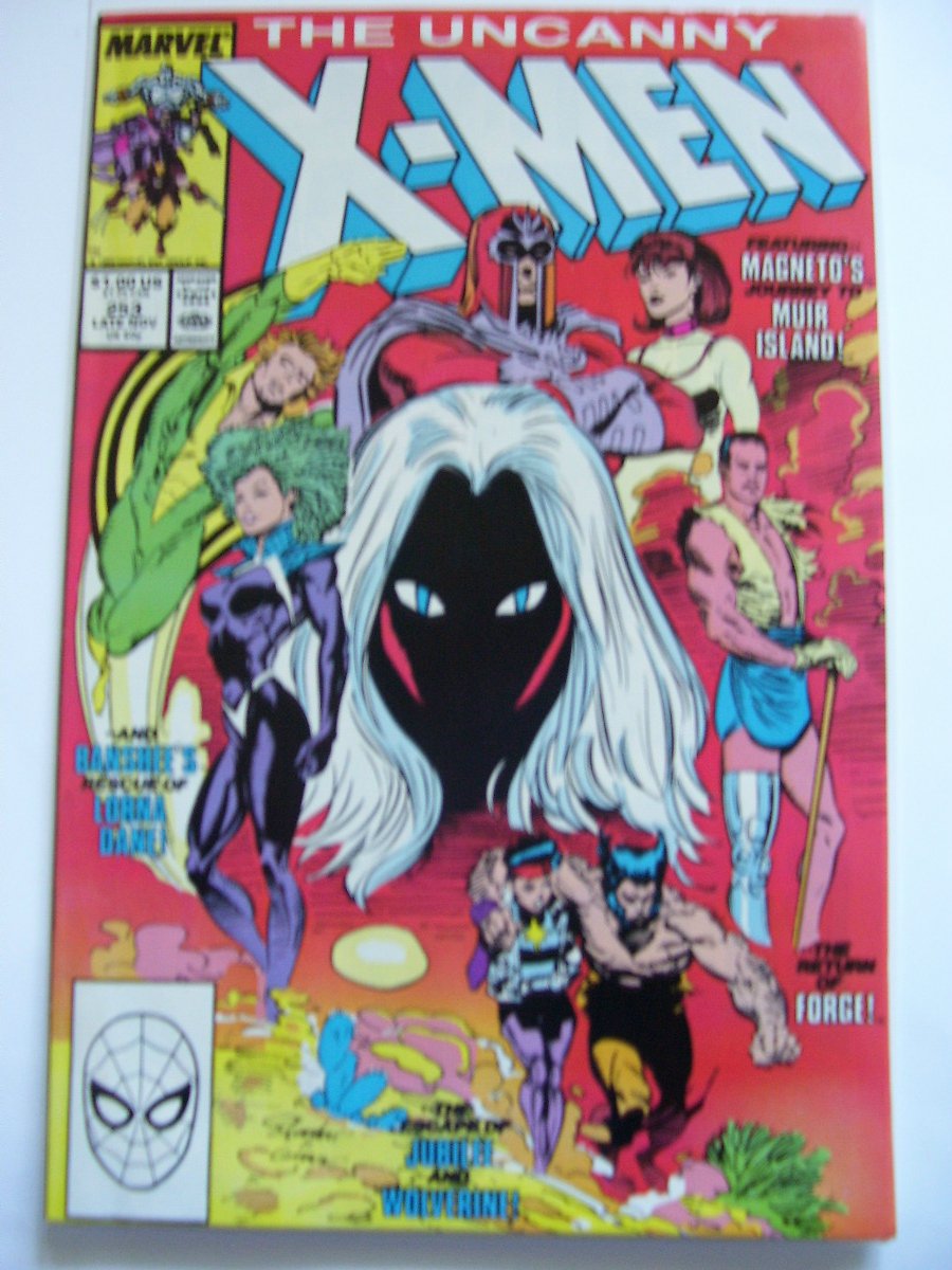 Uncanny X-men #253 Storm Warning