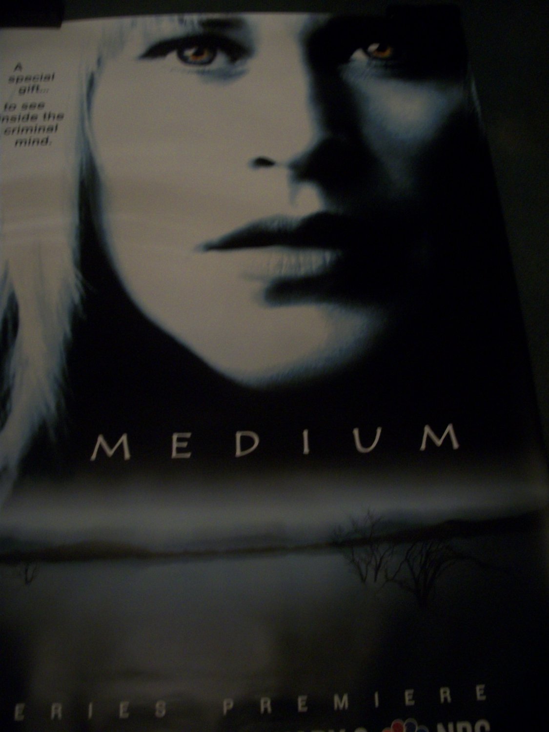 The Medium Series Premiere TV show Poster Approx. 48 X 69