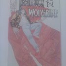 Deathblow/Wolverine #1