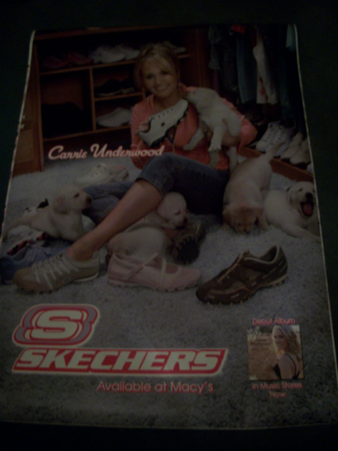 Carrie Underwood with Dogs Original Sketcher Poster Approx. 48 X 69