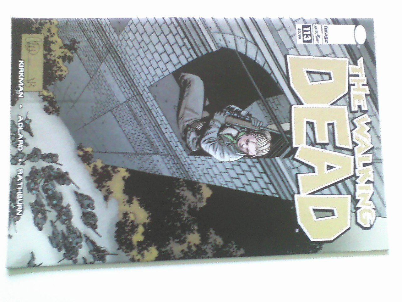 The walking Dead #113