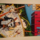 The Incredible Hulk #395 Vs Punisher David/Keown