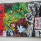 Incredible Hulk #396 Punisher