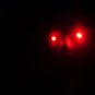 RED LEDs Spooky Halloween LED Eyes