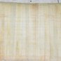 Lot 10 <> Egypt Papyrus <> HandMade Plain Legal size , 20x30cm. (12"x8")