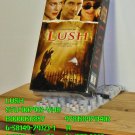 VHS - LUSH