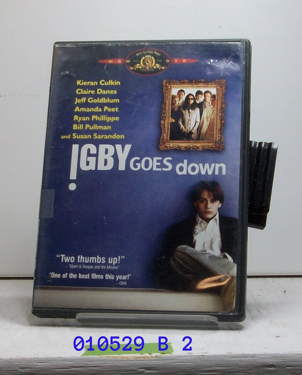 DVD - IGBY GOES DOWN