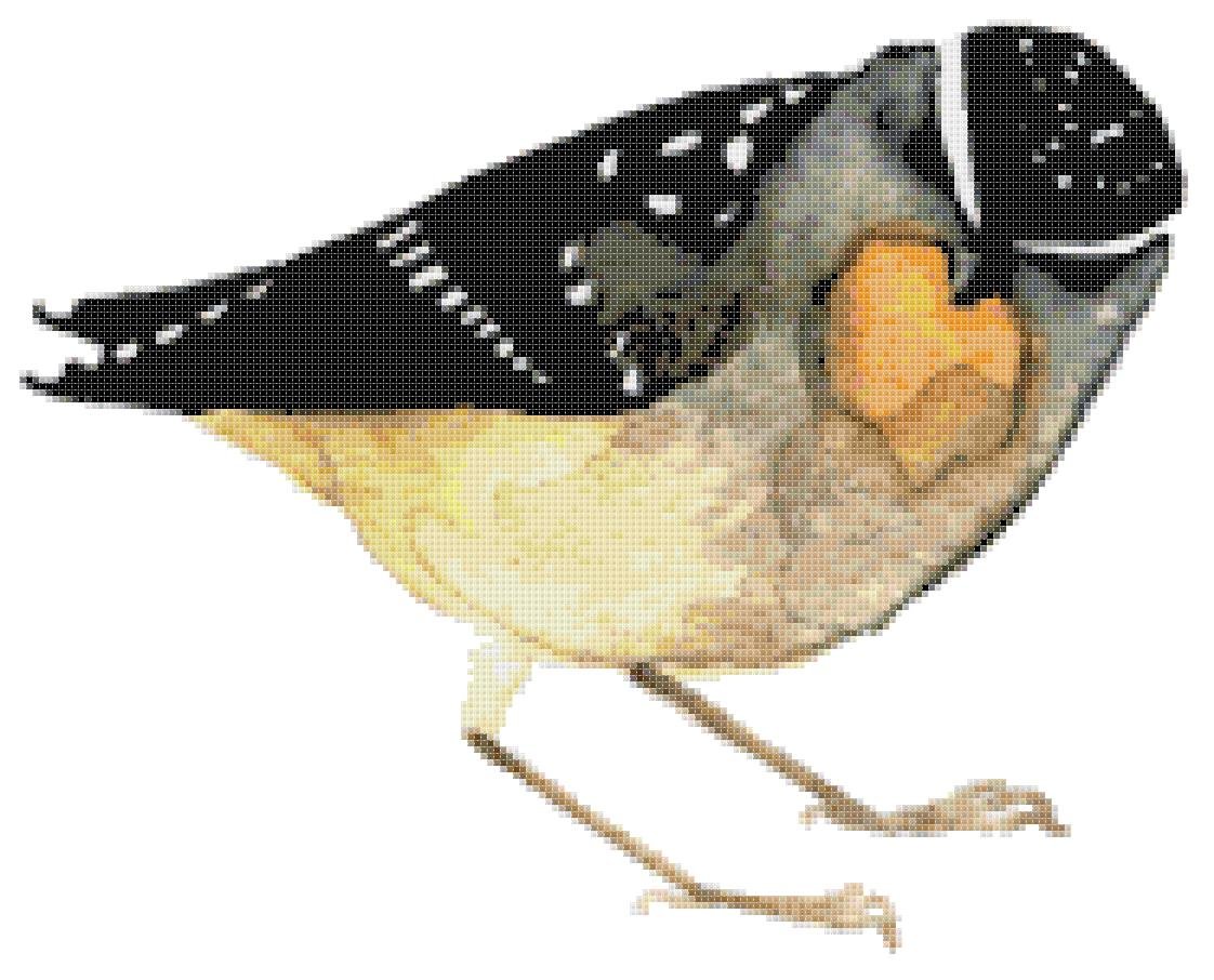 watercolor Spotted Pardalote Counted Cross Stitch pattern - 13.36" x 10.79" - E1666