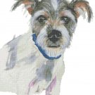 watercolor pet dog Counted Cross Stitch pattern - 13.07" x 14.43" - E1971