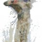 watercolor ostrich Counted Cross Stitch pattern - 7.29" x 15.07" - E1739