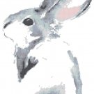 Counted Cross Stitch pattern watercolor rabbit pdf chart 116x178 stitches E1684