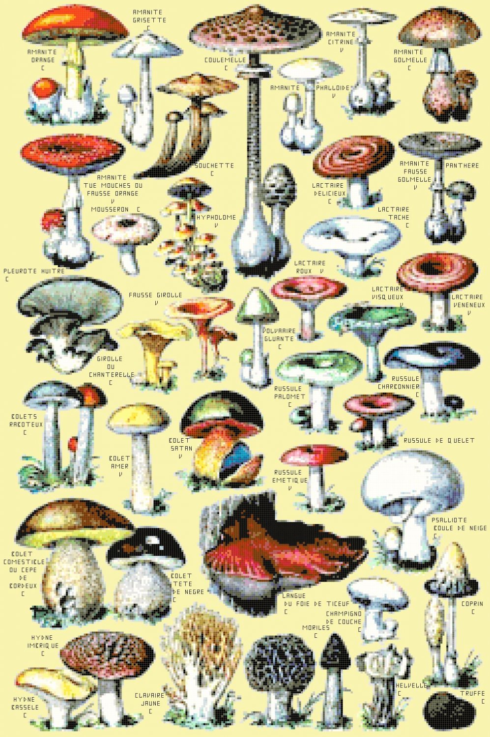 Counted Cross Stitch pattern watercolor mushroom 242 * 365 stitches E1577