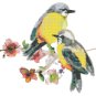 watercolor couple birds Counted Cross Stitch pattern - 10.50" x 9.79" - E1709