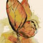 counted Cross Stitch Pattern Watercolor butterfly pdf 154*202 stitches E2193