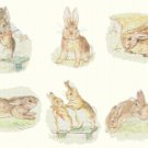 counted cross stitch pattern six scene bad rabbit Potter 241*154 stitches E1156
