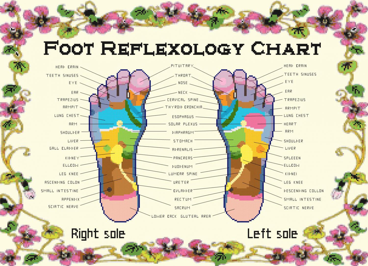 counted cross stitch pattern foot reflexology chart 303*219 stitches E2105