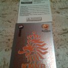 Panini EURO 2004 Number 317 Holland Nederland Foil Sticker Mint