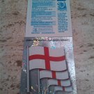 Panini World South Africa 2010 Number 183 England Foil Sticker Mint