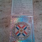 Panini World Cup Korea Japan 2002 Number 134 Paraguay Foil Sticker Mint