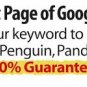 I will get your Website on Google Page 1 with my SEO