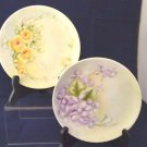 2 Hand Painted Floral Plates Weimar Germany and Sevres Bavaria