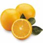 Orange Sweet - Cold Pressed (Citrus sinensis)